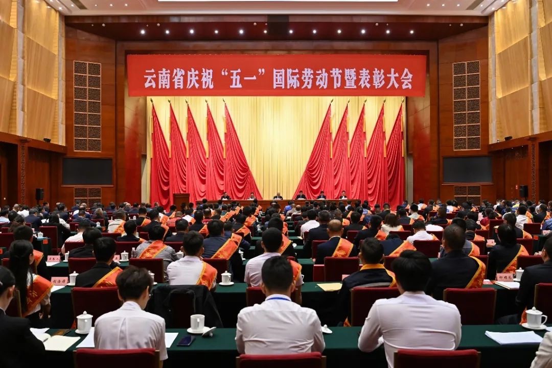 1682385061950008326.jpg IMG_1552.JPG.jpg